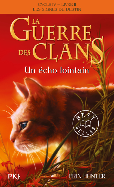 LA GUERRE DES CLANS CYCLE IV T02 UN ECHO LOINTAIN