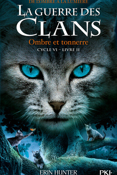 LA GUERRE DES CLANS, CYCLE VI T02 OMBRE ET TONNERRE
