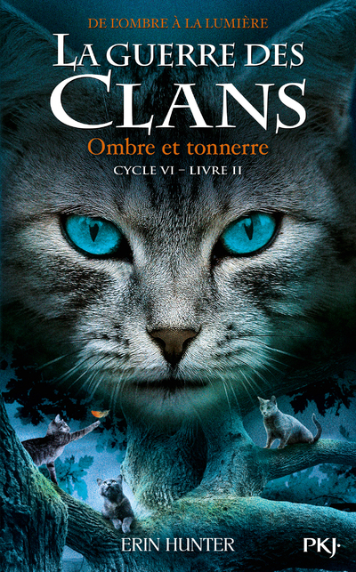 LA GUERRE DES CLANS, CYCLE VI T02 OMBRE ET TONNERRE