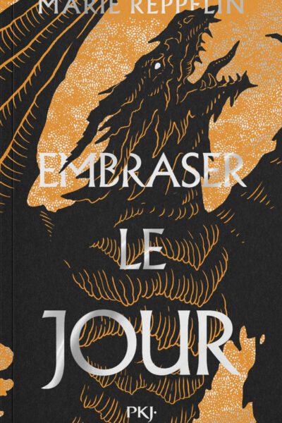 AFFRONTER LA NUIT T02 EMBRASER LE JOUR