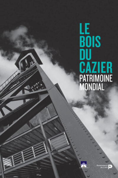 CATASTROPHE DU BOIS DU CAZIER