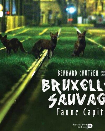 BRUXELLES SAUVAGE  FAUNE CAPITALE