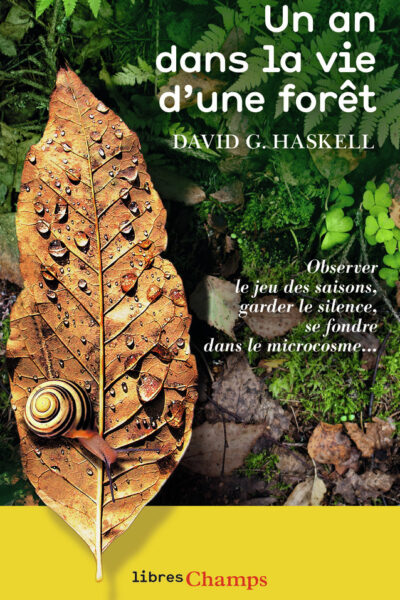 UN AN DANS LA VIE D'UNE FORET