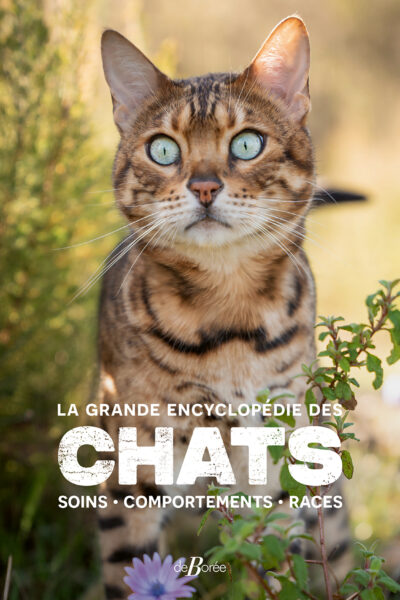 LA GRANDE ENCYCLOPEDIE DES CHATS