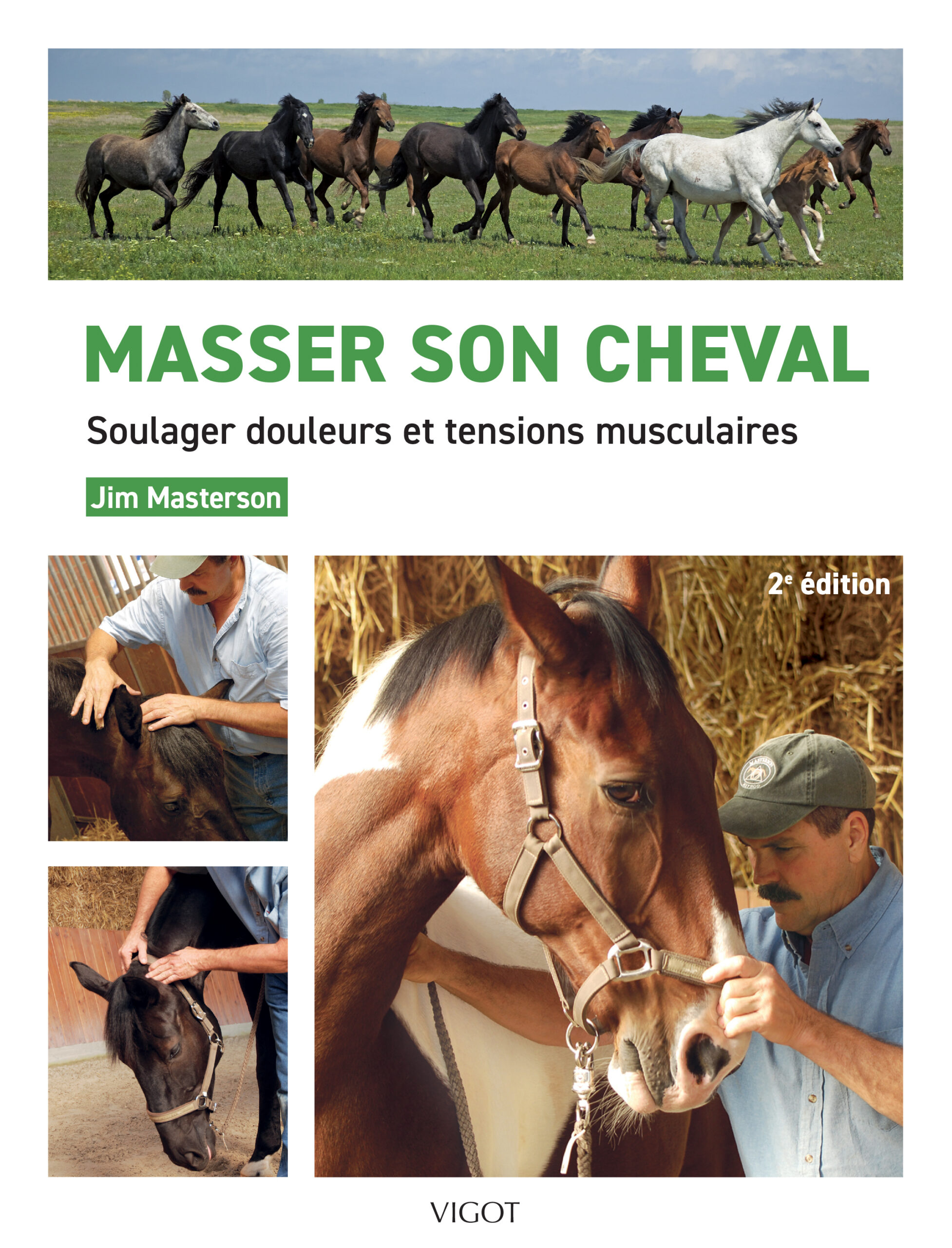 MASSER SON CHEVAL : SOULAGER DOULEURS ET TENSIONS MUSCULAIRES
