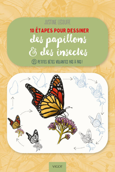 10 ETAPES POUR DESSINER LES PAPILLONS ET LES INSECTES