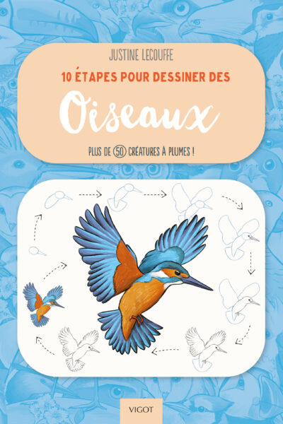 10 ETAPES POUR DESSINER LES OISEAUX