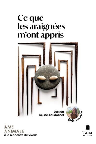 CE QUE LES ARAIGNEES M'ONT APPRIS