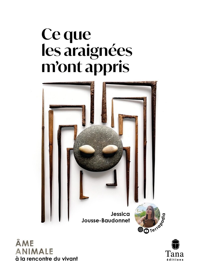 CE QUE LES ARAIGNEES M'ONT APPRIS