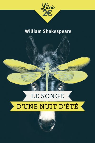 LE SONGE D'UNE NUIT D'ETE