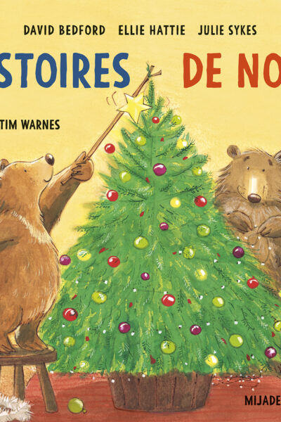 HISTOIRES DE NOEL