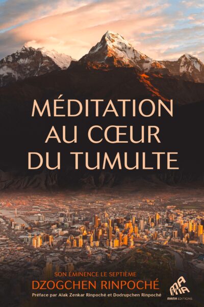 MEDITATION AU COEUR DU TUMULTE