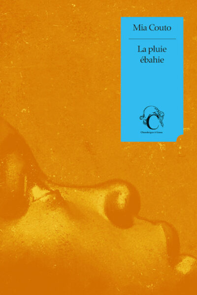 DRAGON BALL SUPER T23 LE SUPER EVEIL DE SON GOHAN