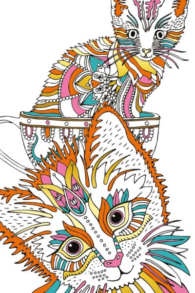 CHAT VA BIEN - 50 MARQUE-PAGES A COLORIER