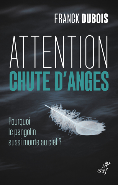 ATTENTION CHUTE D'ANGES POURQUOI LE PANGOLIN AUSSI MONTE AU CIEL ?