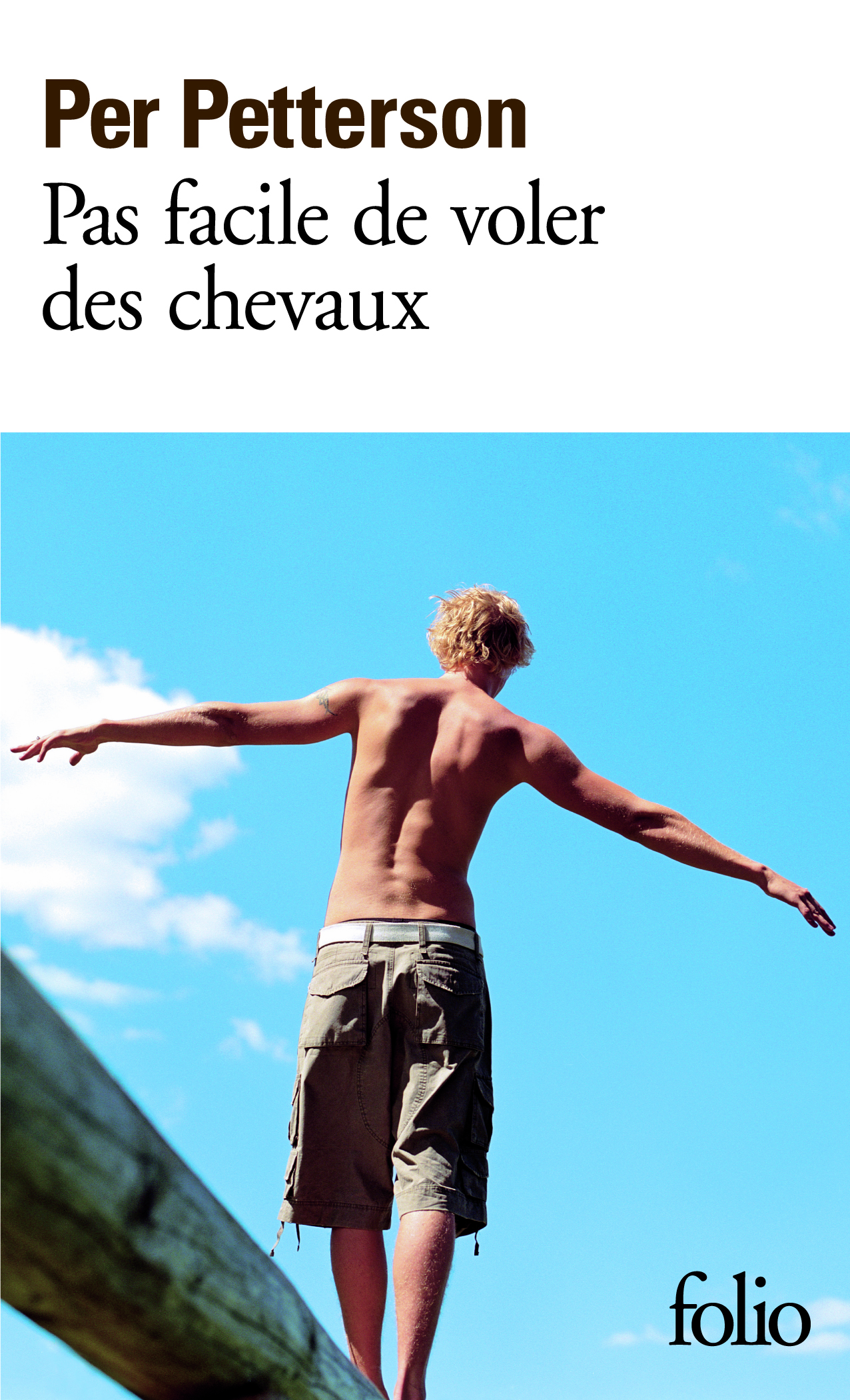 PAS FACILE DE VOLER DES CHEVAUX 4756