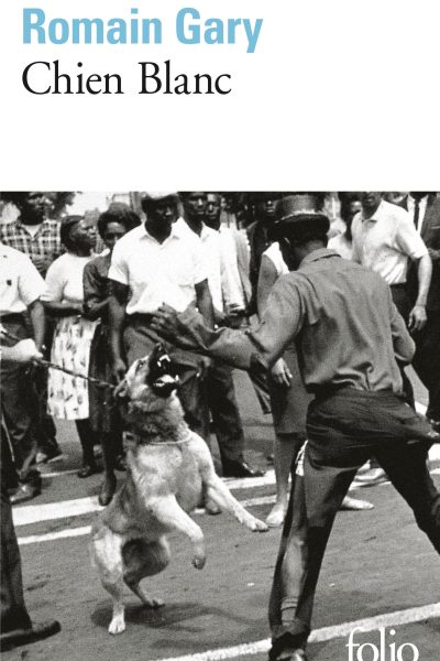 CHIEN BLANC