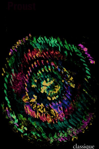 A LA RECHERCHE DU TEMPS PERDU I DU CÔTE DE CHEZ SWANN