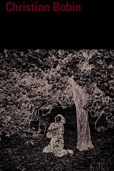 UNE PETITE ROBE DE FÊTE