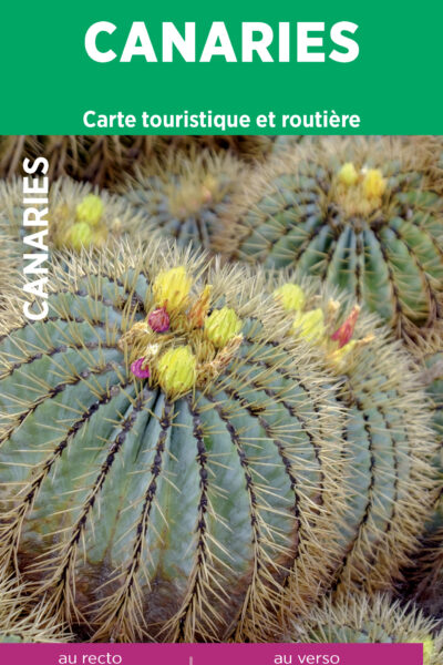ÎLES CANARIES 11630