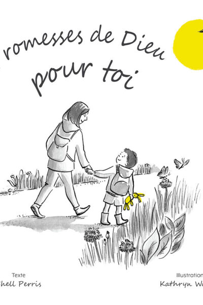 PROMESSES DE DIEU POUR TOI - EDITION ILLUSTREE