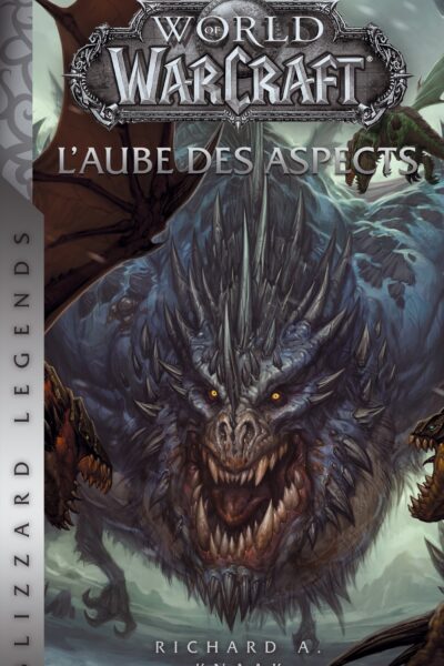 WORLD OF WARCRAFT - L'AUBE DES ASPECTS (NED)