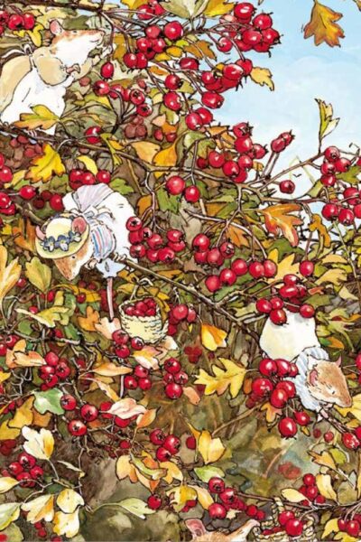 LES SOURIS DU BUISSON AUX MURES - CARNET AUTOMNE