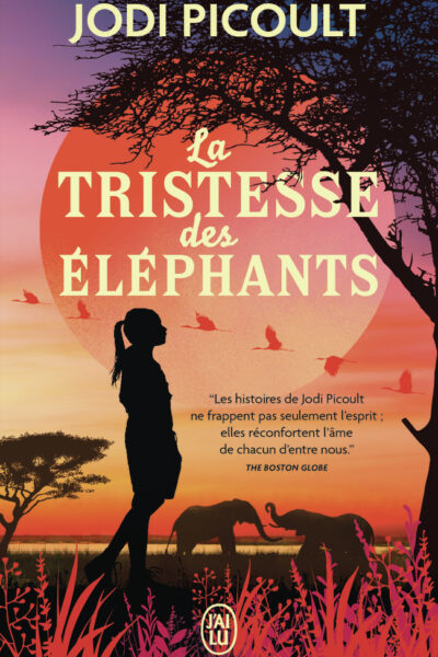 LA TRISTESSE DES ELEPHANTS
