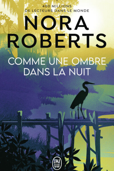 COMME UNE OMBRE DANS LA NUIT