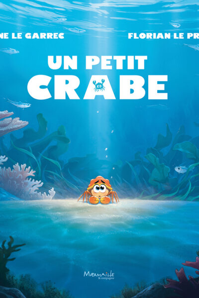 UN PETIT CRABE