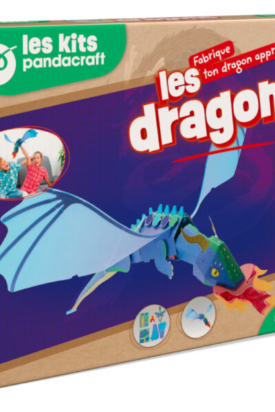 LES DRAGONS - KIT PANDACRAFT DES 8 ANS