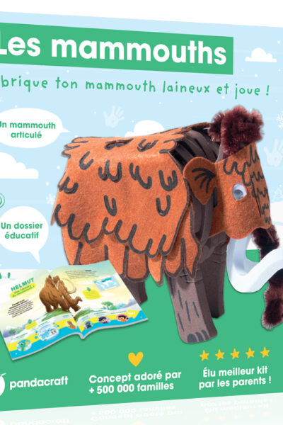 LES MAMMOUTHS - KIT LUDO-EDUCATIF 3-7 ANS