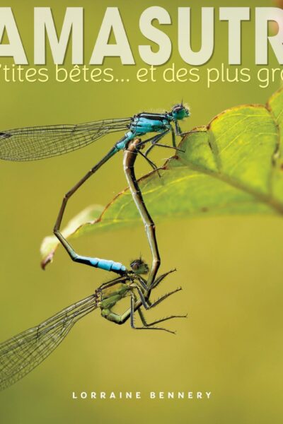 KAMASUTRA DES P'TITES BETES... ET DES PLUS GROSSES