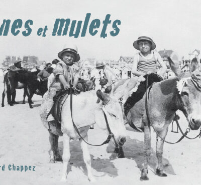 ÂNES ET MULETS