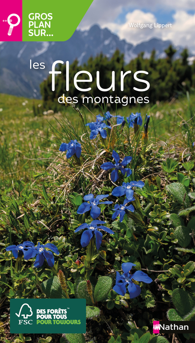 GROS PLAN SUR LES FLEURS DES MONTAGNES