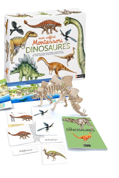 MON COFFRET MONTESSORI DES DINOSAURES