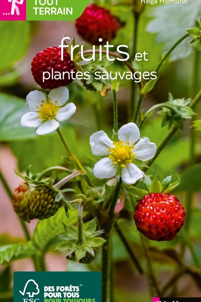 FRUITS ET PLANTES SAUVAGES