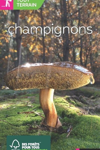 LES CHAMPIGNONS