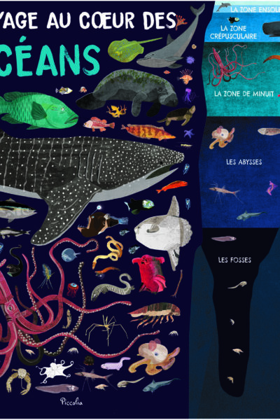 VOYAGE AU COEUR DES OCEANS