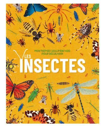 LES INSECTES