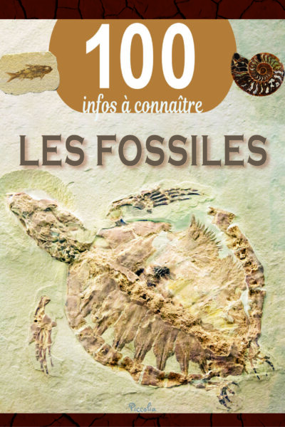 LES FOSSILES - 100 INFOS A CONNAÎTRE