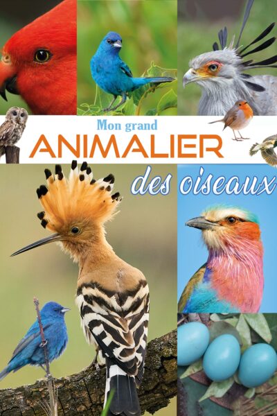 MON GRAND ANIMALIER DES OISEAUX