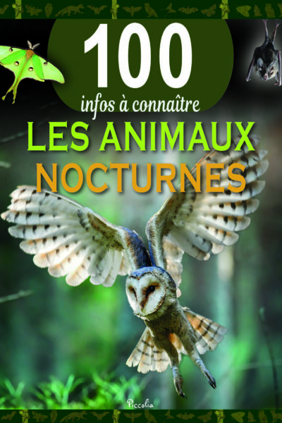 LES ANIMAUX NOCTURNES - 100 INFOS A CONNAITRE