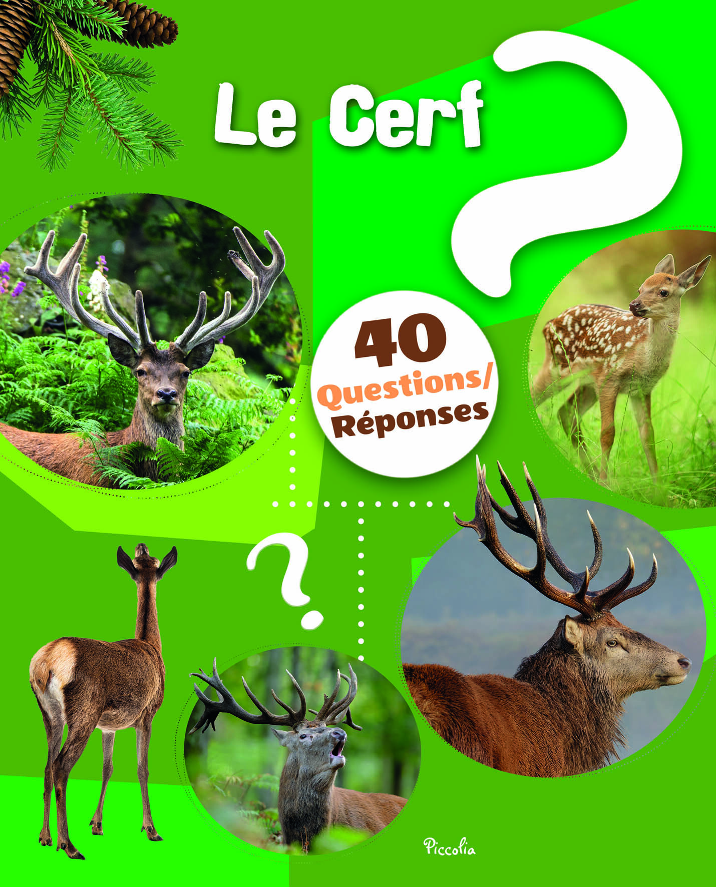 LE CERF