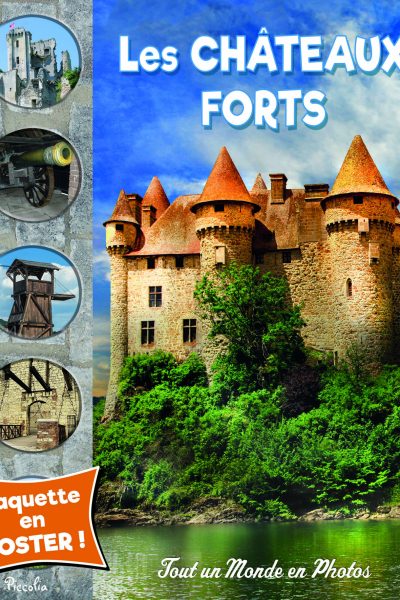 LES CHATEAUX FORTS