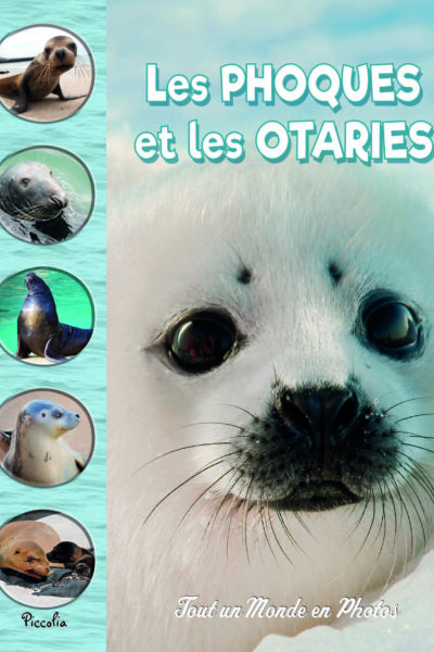 LES PHOQUES ET LES OTARIES
