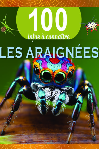 LES ARAIGNEES - 100 INFOS A CONNAITRE