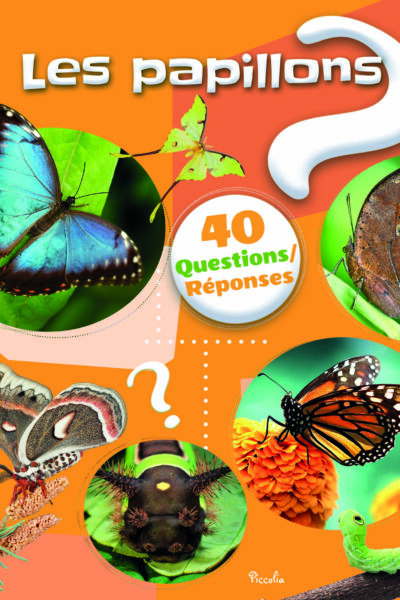 LES PAPILLONS - 40 QUESTIONS/REPONSES