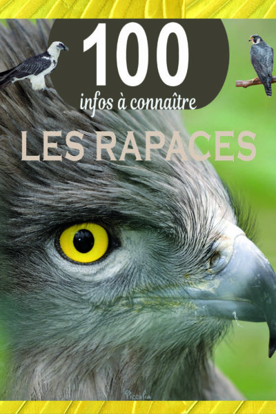 LES RAPACES - 100 INFOS A CONNAITRE