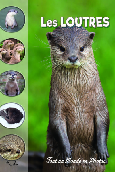LES LOUTRES